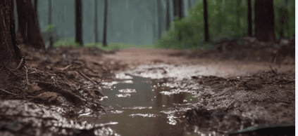 انشا در مورد بوی خاک پس از بارش باران
