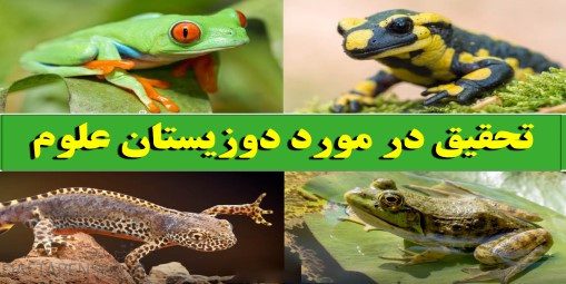 تحقیق در مورد دوزیستان علوم سوم