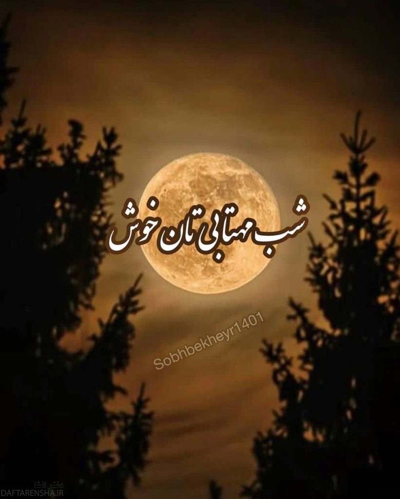 شب بخیر خاص (4)