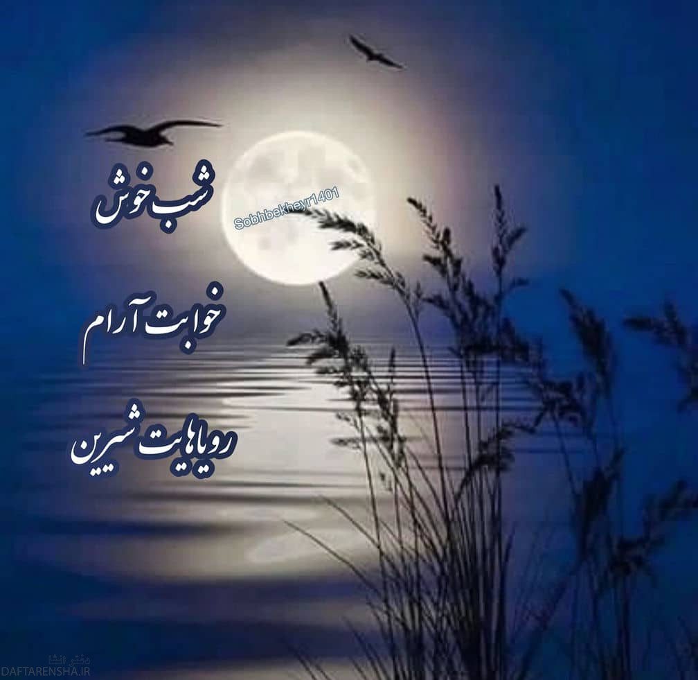 شب بخیر شیک (2)