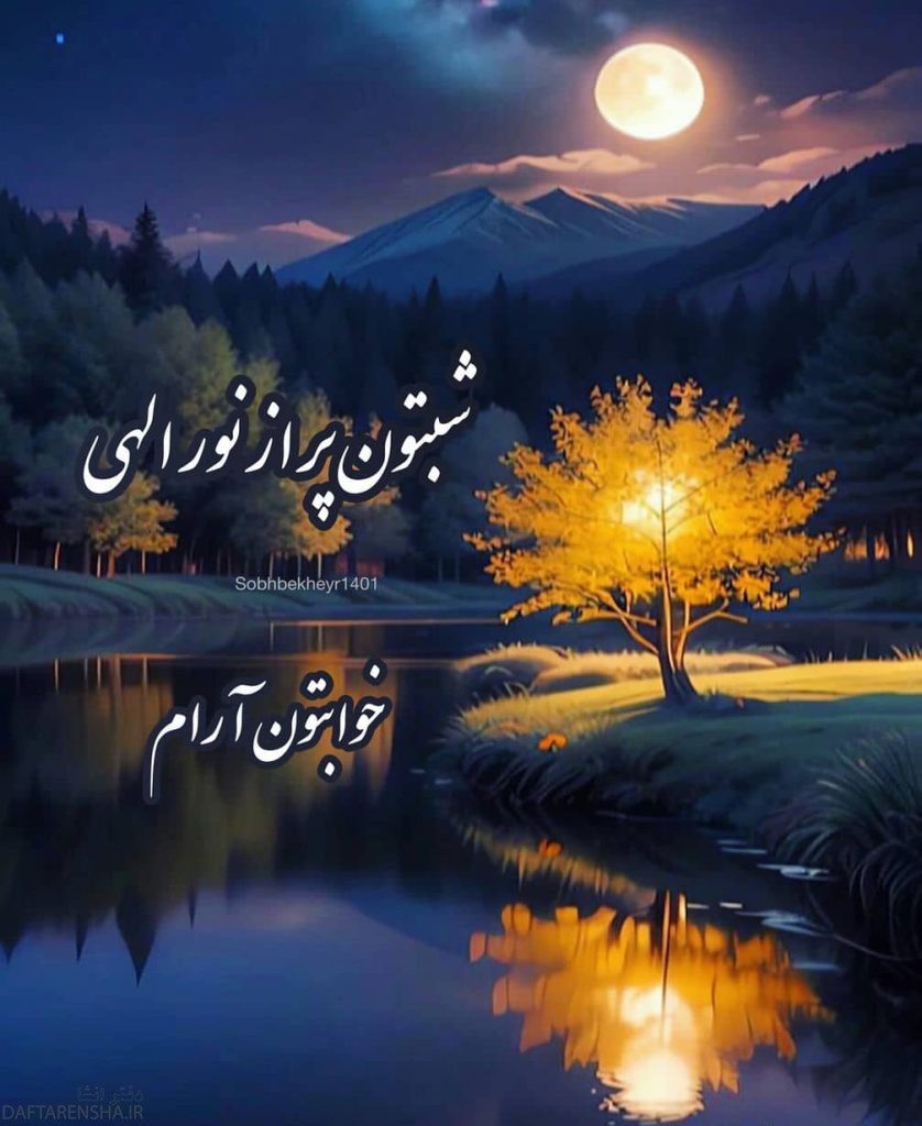 شب بخیر شیک (5)