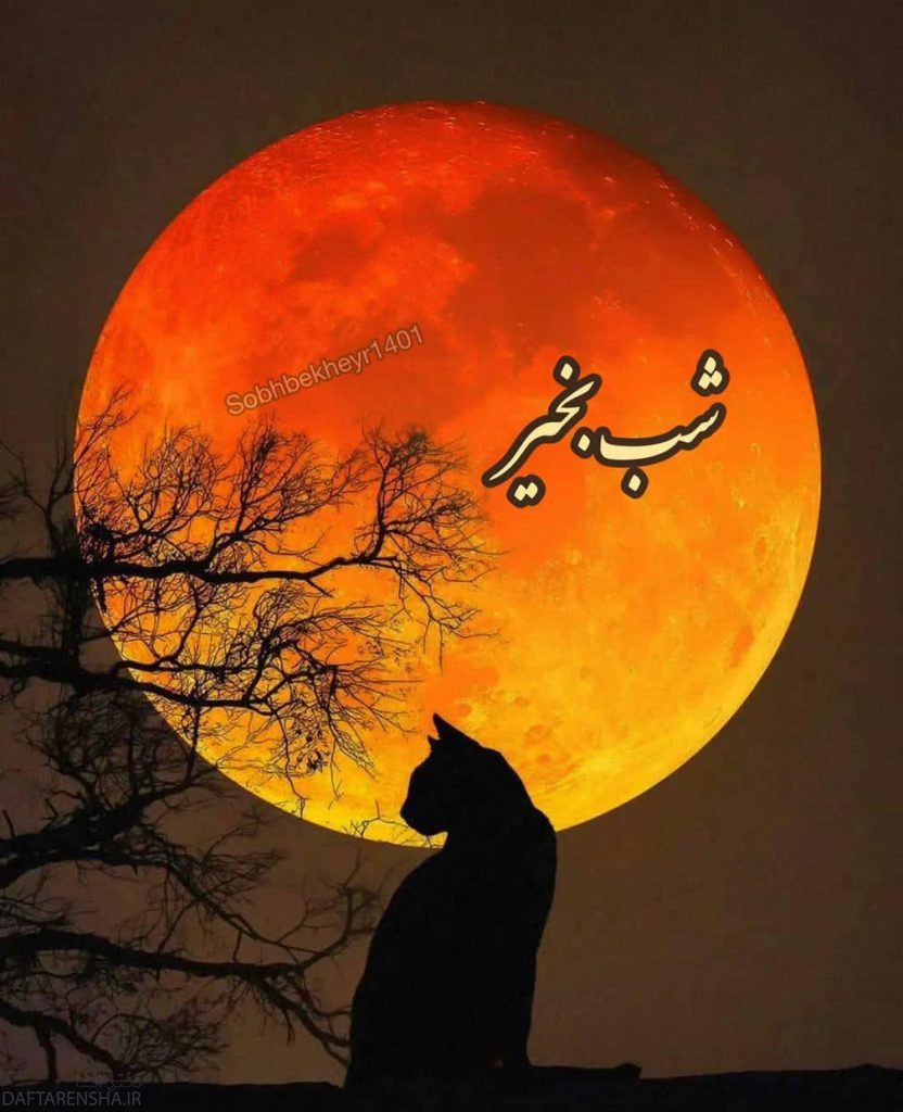 شب بخیر متفاوت (5)