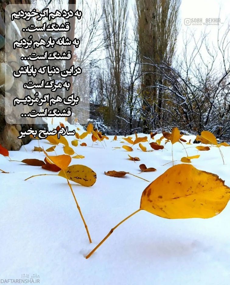 صبح بخیر پر انرژی برای عشقم (1)