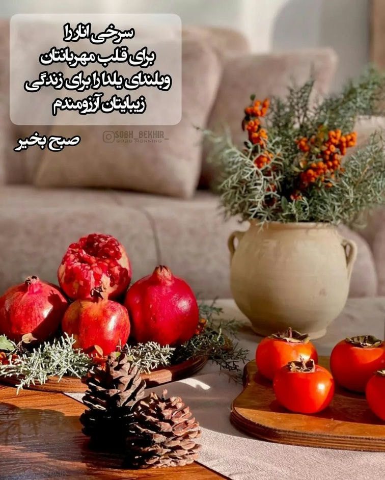 صبح بخیر پر انرژی برای عشقم (9)