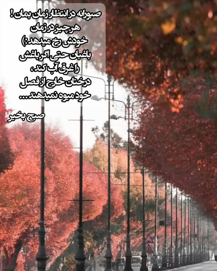 عکس صبح بخیر انگیزشی (11)