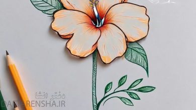 عکس طراحی گل با مداد ساده (17)