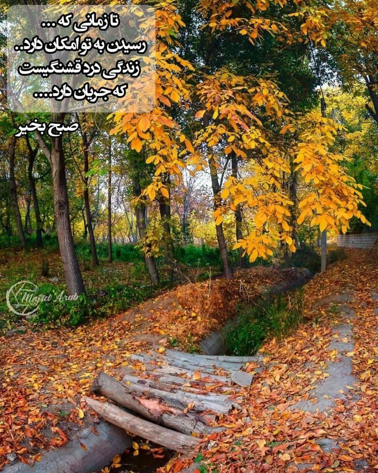 عکس نوشته صبح بخیر زیبا (1)