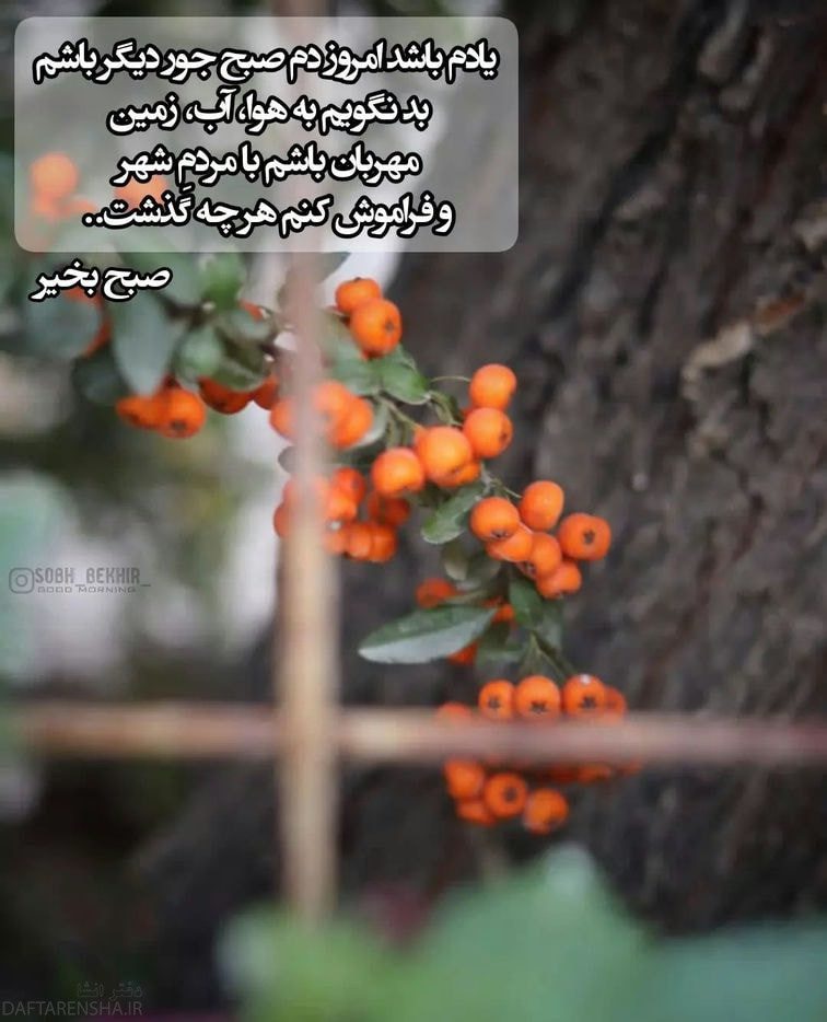 عکس نوشته صبح بخیر زیبا (11)