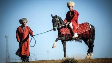 مردم ترکمنستان به کدام ورزش علاقه زیادی دارند چرا