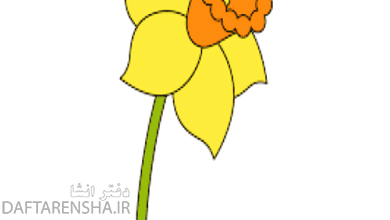نقاشی گل نرگس بچه گانه (1)