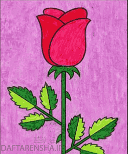 نقاشی گلبرگ گل رز (1)