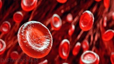 خون چگونه تصفیه می شود علوم چهارم