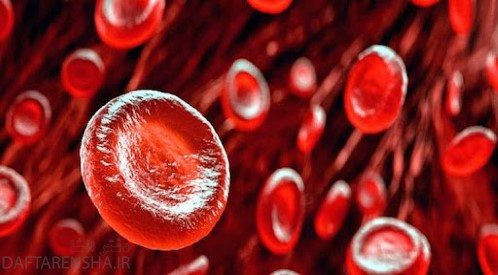 خون چگونه تصفیه می شود علوم چهارم