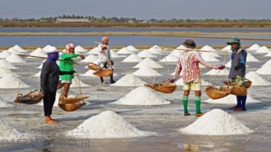 نمک چگونه تهیه می شود چهارم دبستان