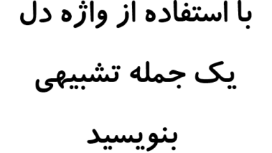 با استفاده از واژه دل یک جمله تشبیهی بنویسید