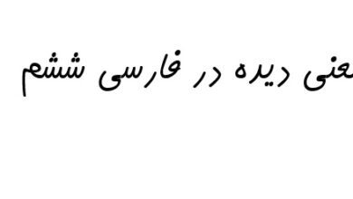 معنی دیده در فارسی ششم