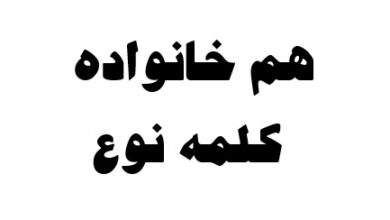 هم خانواده کلمه نوع