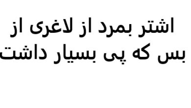 اشتر بمرد از لاغری از بس که پی بسیار داشت