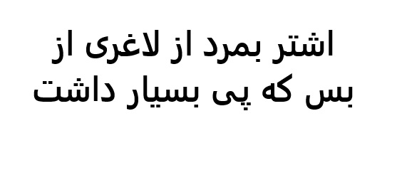 اشتر بمرد از لاغری از بس که پی بسیار داشت