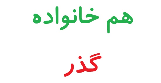 هم خانواده برای گذر