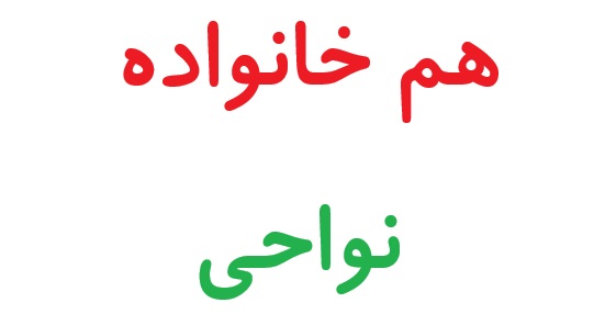 هم خانواده نواحی