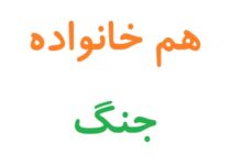 هم خانواده کلمه جنگ