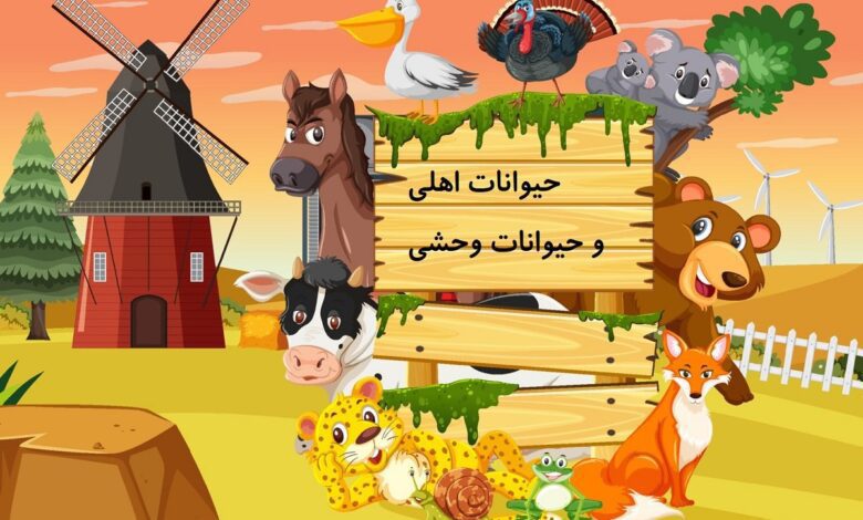 تحقیق در مورد حیوانات اهلی و وحشی کلاس اول ابتدایی