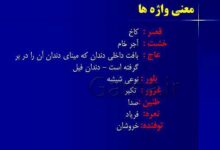 معنی طنین در فارسی هشتم