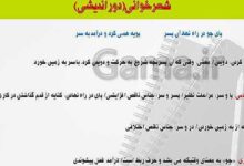 معنی پویه همی کرد و درآمد به سر