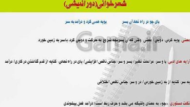 معنی پویه همی کرد و درآمد به سر