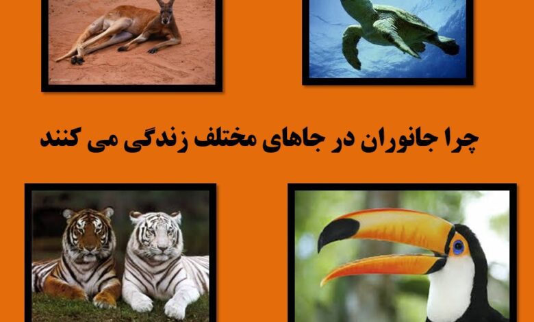 چرا جانوران در جاهای مختلف زندگی می کنند