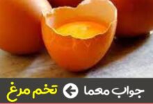 آن چیست که باید قبل از مصرف شکسته شود