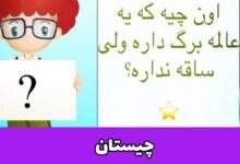 آن چیست که برگ دارد ولی ساقه ندارد