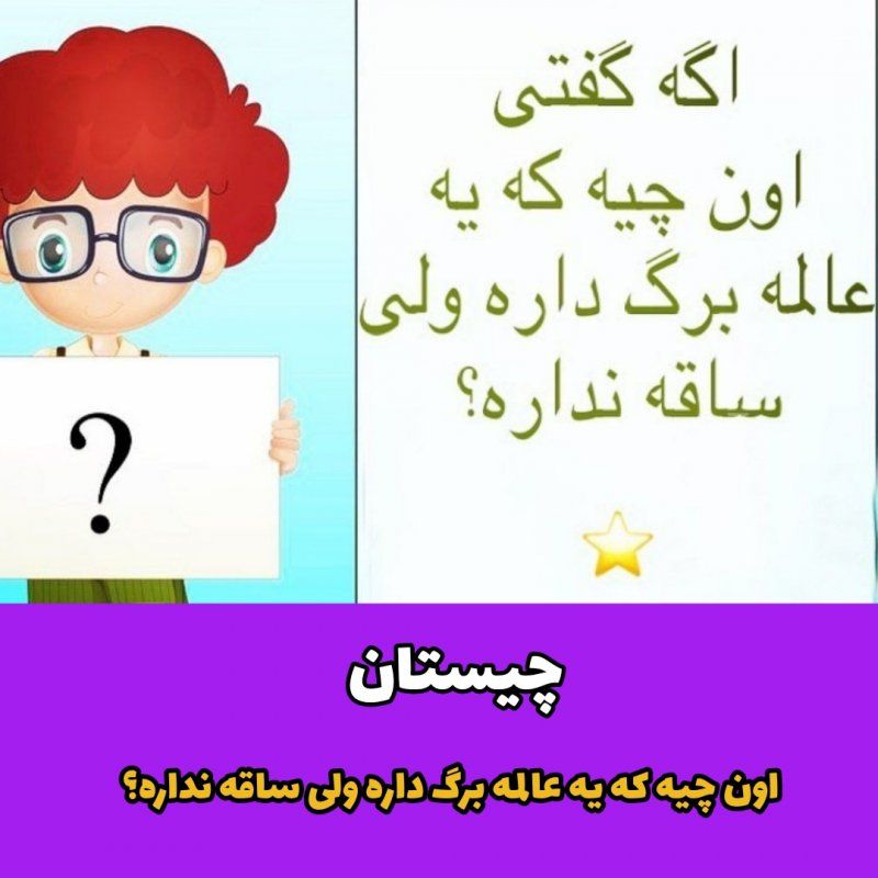 آن چیست که برگ دارد ولی ساقه ندارد