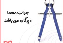 آن چیست که پر دارد اما نمی پرد