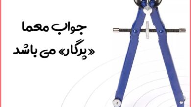 آن چیست که پر دارد اما نمی پرد