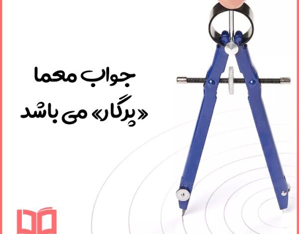 آن چیست که پر دارد اما نمی پرد