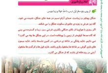 اگر جنگل نباشد چه اتفاقی می افتد کلاس سوم
