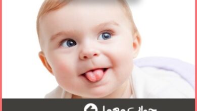 جواب چیستان آن چیست که از عسل شیرین است