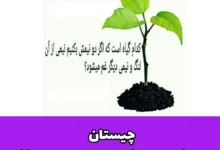 آن چیست که اگر نصفش غصه است