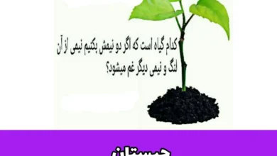 آن چیست که اگر نصفش غصه است