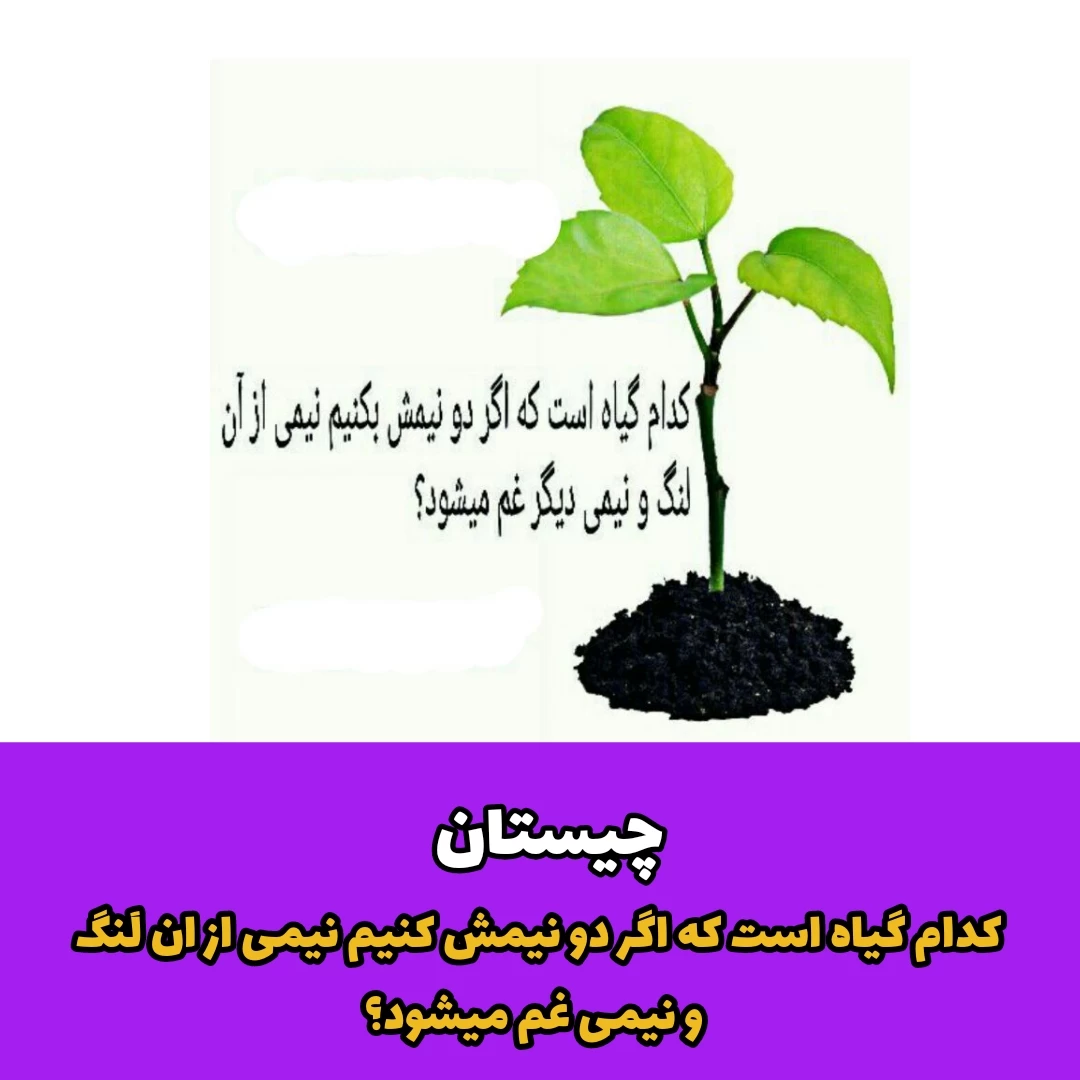 آن چیست که اگر نصفش غصه است