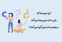 آن چیست که بال ندارد ولی پرواز میکند