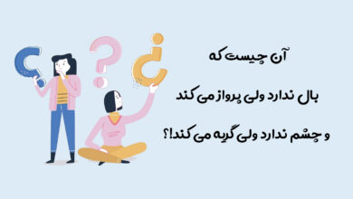آن چیست که بال ندارد ولی پرواز میکند
