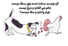 آن چیست که سفت است ولی سنگ نیست