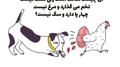 آن چیست که سفت است ولی سنگ نیست