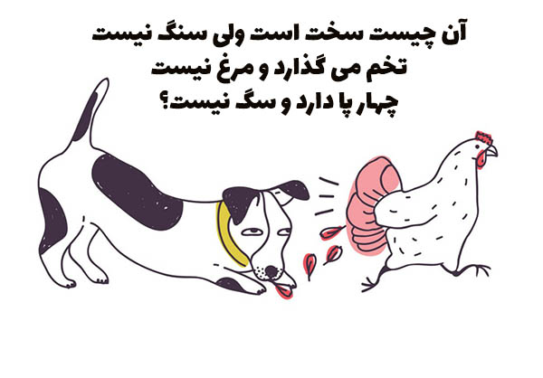 آن چیست که سفت است ولی سنگ نیست