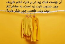 آن چیست که قبای زرد بر تن دارد
