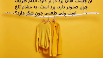 آن چیست که قبای زرد بر تن دارد