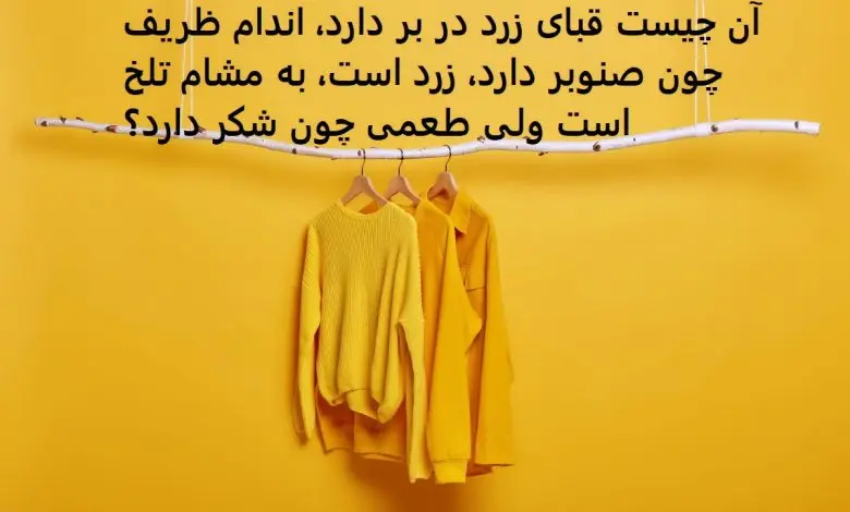 آن چیست که قبای زرد بر تن دارد